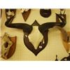 Rowland Ward mounted skull and horns of white…