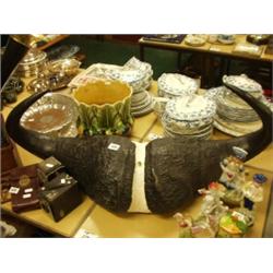 Set of Cape buffalo horns…