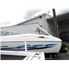 Image 3 : 2000 Wellcraft Excalibur 23' Performance Cuddy