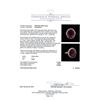 Image 5 : 11.08ct Ruby and Diamond Ring - 14KT Yellow Gold
