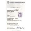 Image 6 : EGL USA Cert 1.11ctw Diamond Ring - 18KT White Gold