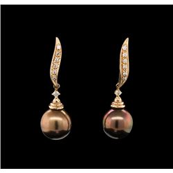 0.12ctw Tahitian Pearl and Diamond Earrings - 14KT Rose Gold