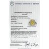 Image 7 : EGL USA Cert 6.79ctw VVS1 Fancy Yellow Diamond Ring - Platinum