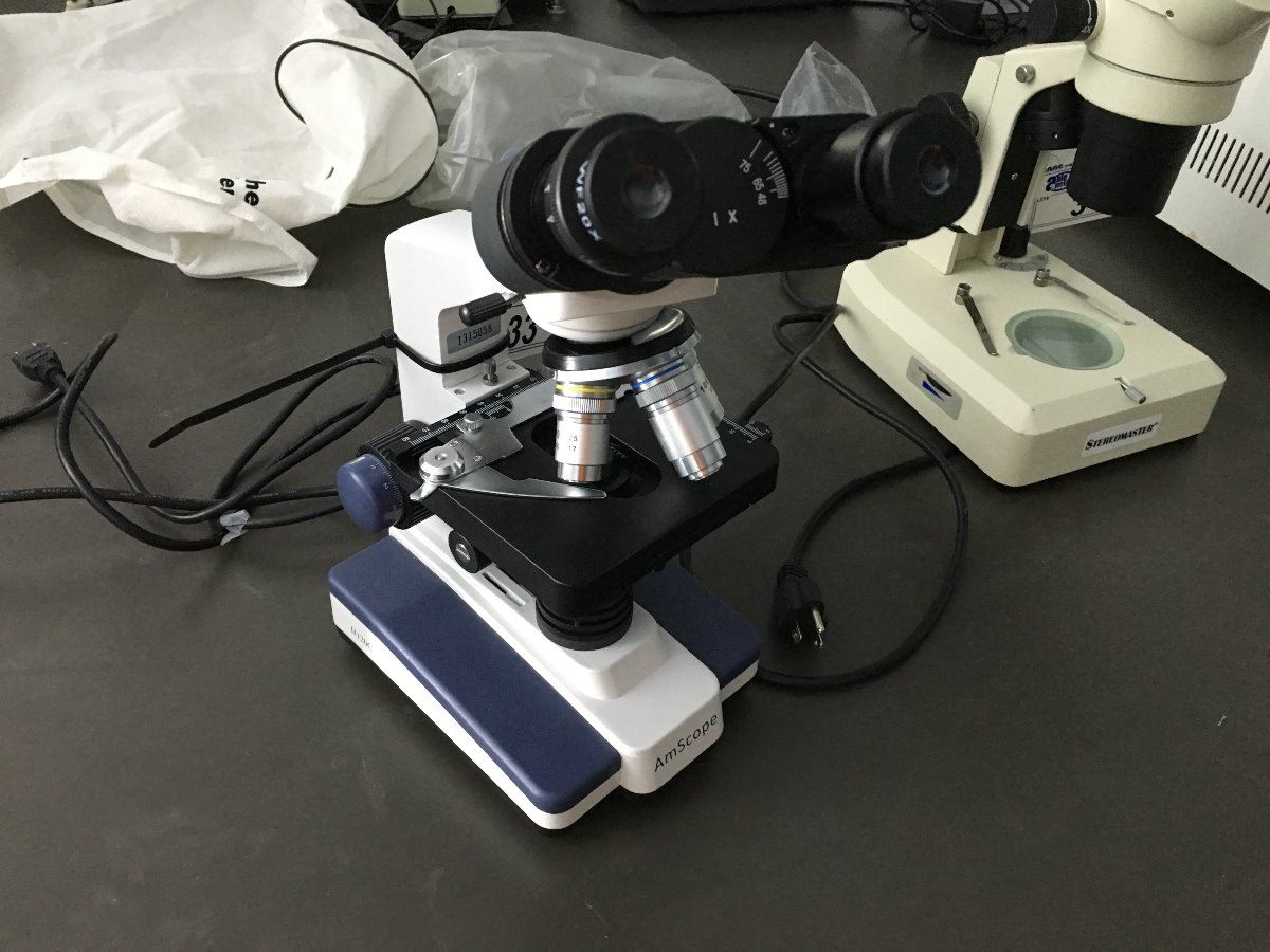 AMSCOPE LED:IW ELECTRIC LAB SCOPE