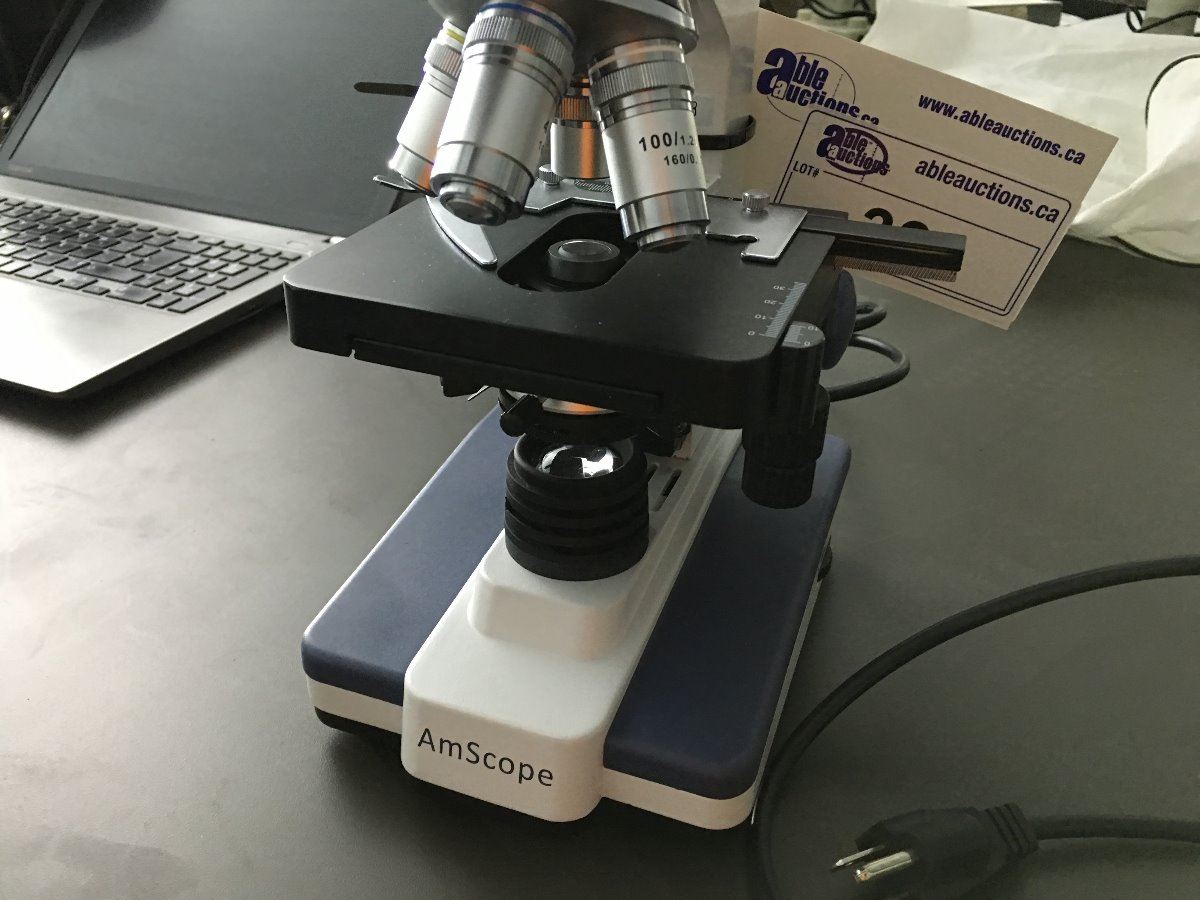 AMSCOPE LED:IW ELECTRIC LAB SCOPE