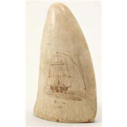A 19th century Scrimshaw whales tooth, engraved with a ship viewed bow first and inscribed "H.m.s...