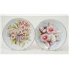 Image 1 : A pair of Royal Worcester plates, finely painted with flowers, one signed E Phillips, the other R...