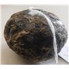 Image 3 : Paleo & Historic Artifact Collection
