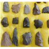 Image 8 : Paleo & Historic Artifact Collection