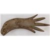 Image 5 : Eskimo Prehistoric Wood Ice Rakes