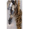 Image 5 : Plains Indian Speaker Staff