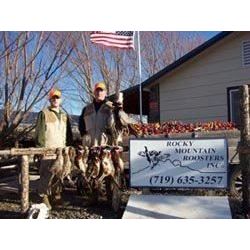 4 Man Pheasant / Chukar Hunt with Rocky Mountain Roosters