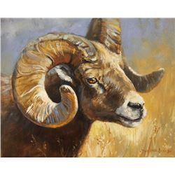 " Rocky Mountain Bighhorn" Original Oil on Linen painting 11x14