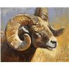 Image 1 : " Rocky Mountain Bighhorn" Original Oil on Linen painting 11x14