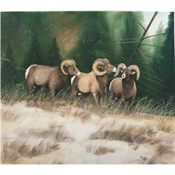Framed original Watercolor Sheep Painting