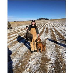 Guided Goose Hunt in Northern Colorado - 2 guns