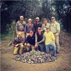 Dove Hunt in Cordoba, Argentina FOR 5 HUNTERS