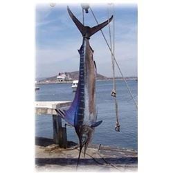 Deep Sea Fishing and Beach Hotel for 4 Days In Mexico