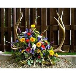 Floral Arrangement with Antlers
