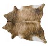 Image 2 : Brindle Cowhide