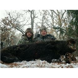 Hog Wild Feral Hog Hunt