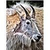 Image 1 : Mountain Goat Canvas Print