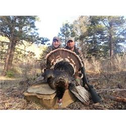 Three Day Turkey Hunt In New Mexico.