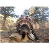 Image 1 : Three Day Turkey Hunt In New Mexico.
