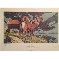 Limited Edition Bighorn Sheep Print.
