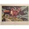 Image 1 : Limited Edition Bighorn Sheep Print.