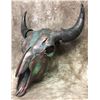 Image 1 : Bison Skull Aged Copper