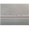 Image 2 : SIGNED LIMITED EDITION (2/10) ARTISTS' PROOF SERIGRAPH, TITLED 'MOTHER MUSKRAT' BY EDDY COBINESS