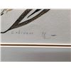 Image 2 : SIGNED LIMITED EDITION (2/10) ARTISTS' PROOF SERIGRAPH, TITLED 'WARRIOR HAWK' BY EDDY COBINESS