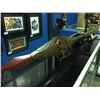 Image 2 : CARVED 6' PADDLE BY JOE BOB -NANOOSE BAND SALISH NATION
