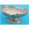 Image 1 : A Victorian Scottish silver fruit bowl, with flower and scroll decoration, later adapted and re-h...