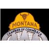 Image 2 : Montana AAA License Plate Topper