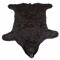 Montana Black Bear Taxidermy Rug Mount