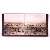 Image 10 : Wild Buffaloes Stereoview Collection Butte Montana