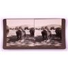 Image 4 : Wild Buffaloes Stereoview Collection Butte Montana