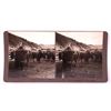 Image 5 : Wild Buffaloes Stereoview Collection Butte Montana