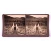 Image 6 : Wild Buffaloes Stereoview Collection Butte Montana