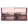 Image 8 : Wild Buffaloes Stereoview Collection Butte Montana