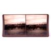 Image 9 : Wild Buffaloes Stereoview Collection Butte Montana