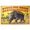 Image 1 : Ringling Brothers Circus Canvas Banner circa 1947