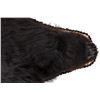 Image 10 : Montana Black Bear Taxidermy Rug Mount