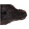 Image 11 : Montana Black Bear Taxidermy Rug Mount