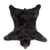 Image 1 : Montana Black Bear Taxidermy Rug Mount