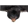 Image 2 : Montana Black Bear Taxidermy Rug Mount