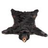 Image 3 : Montana Black Bear Taxidermy Rug Mount