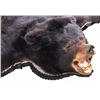 Image 4 : Montana Black Bear Taxidermy Rug Mount